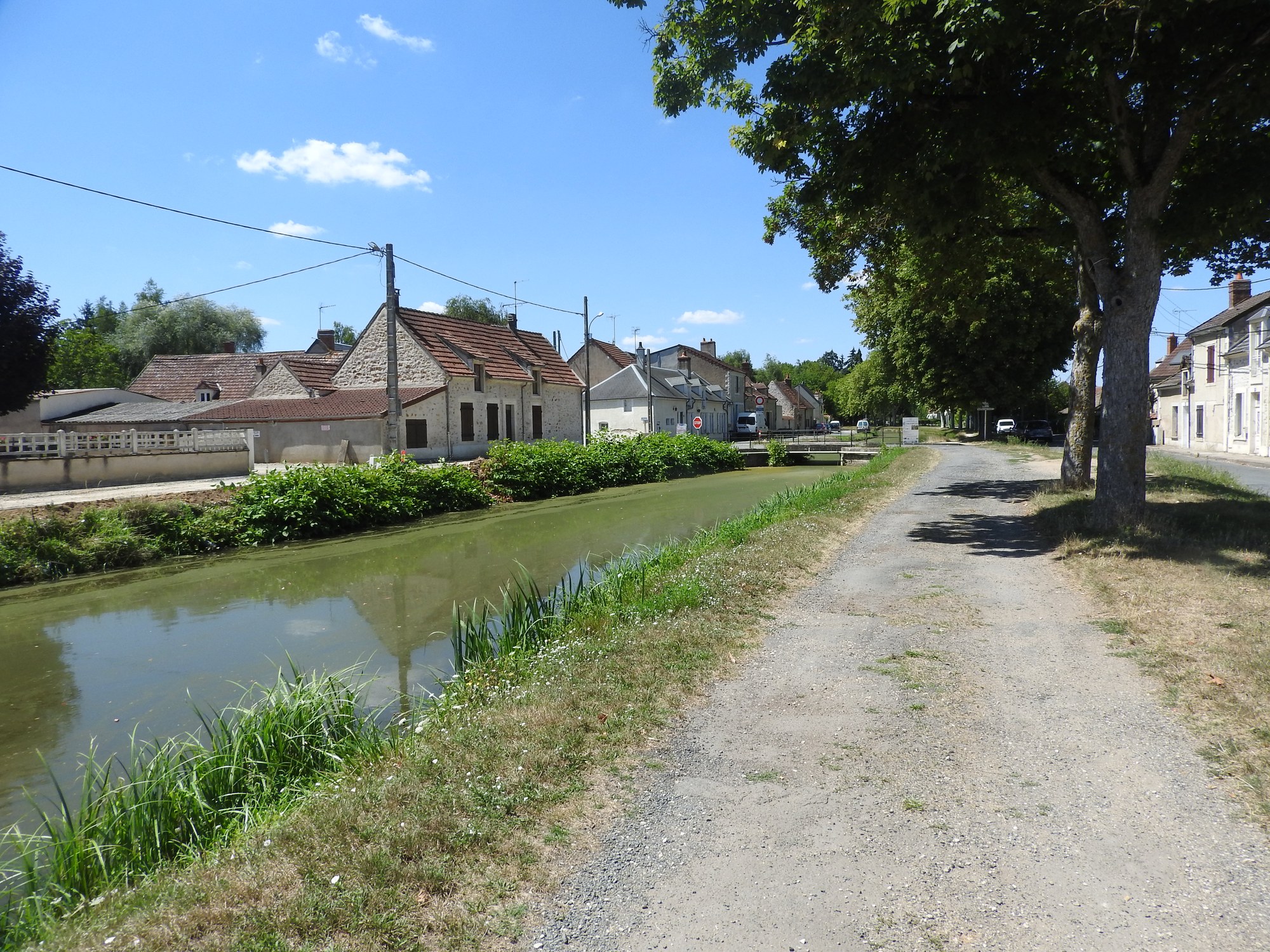 Le canal de Berry traversant Saint-Amand-Montrond un matin d'août : eau verte, chemin de halage, herbe grillée sous les arbres et maisons du bourg sous un ciel bleu
